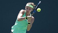 Lucie �afá�ová na turnaji v Miami.