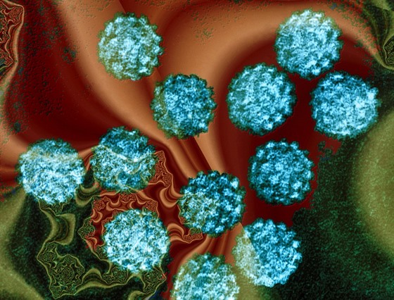 Roj virů HPV