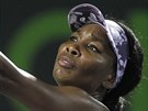 Americká tenistka Venus Williamsová na turnaji v Miami.