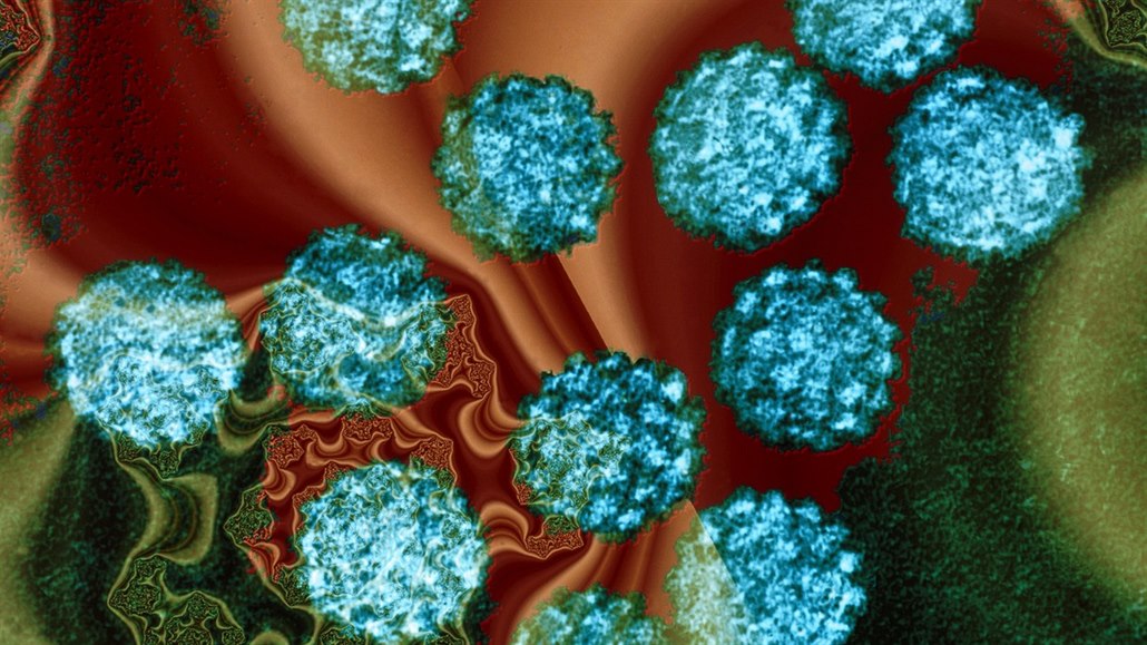 cobas HPV Test PRO ÚČELY DIAGNOSTIKY IN VITRO, Je hpv vírus nebezpecny