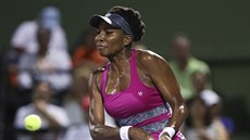 Venus Williamsová v semifinále turnaje v Miami.
