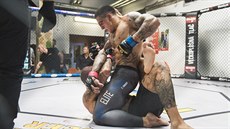 Slovenský zápasník MMA Gábor Boráros (nahoře) v reality show Oktagon - výzva