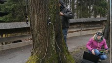 Odborníci kontrolovali stav strom� v Ro�nov�.