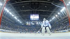 Ve čtvrtfinále play-off vyřadili hokejisté Liberce Plzeň, teď je bude zaplněná...