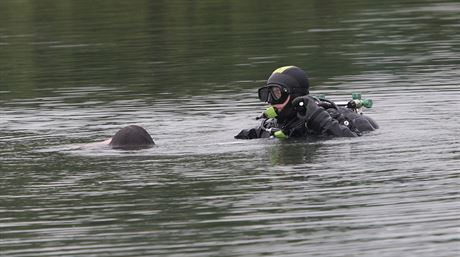 Tlo utonulého mue z vody vytáhli policejní potápi. (Ilustraní snímek)