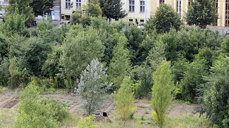 Areál Jaselských kasáren mezi tefánikovou a Stakovou ulicí v brnnském...