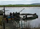 Úhyn desítek metrák ryb eí rybái v Ivanovicích na Hané. Píinu urí a...