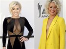 Na udílení ACM Awards pro country hudebníky volily celebrity hlavn sexy modely