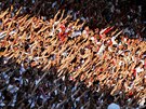 TRIBUNA SEVER. Slávistití fandové bhem derby