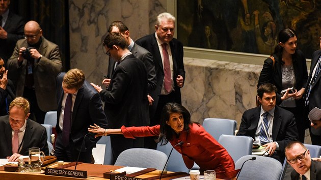 Americk zstupkyn v OSN Nikki Haleyov pi jednn Rady bezpenosti (7. duben 2017)