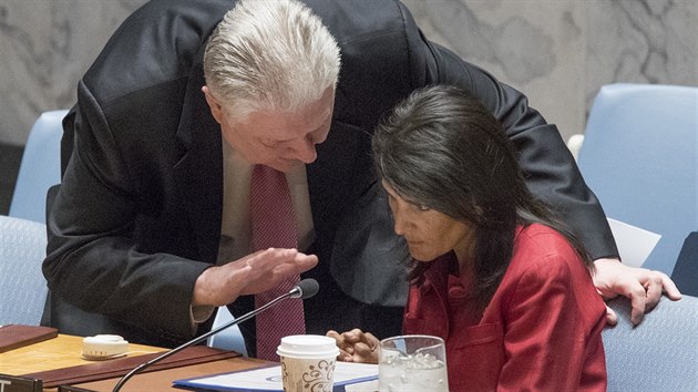 Americk zstupkyn v OSN Nikki Haleyov pi jednn Rady bezpenosti (7. duben 2017)