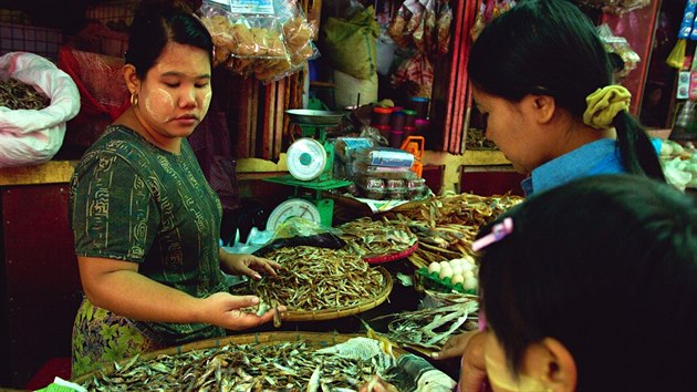 Mal� su�en� rybi�ky se pou��vaj� k�p��prav� nev�bn� von�c� ryb� pasty.