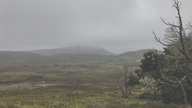 Cradle Mountain Run: Krajina