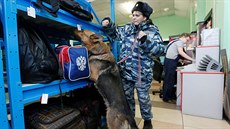 V Petrohradě platí zvýšená bezpečnostní opatření (4. dubna 2017)