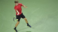 Belgický tenista David Goffin returnuje ve čtvrtfinále Davis Cupu.
