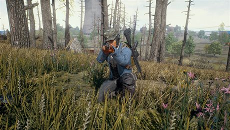 PlayerUnknown's Battlegrounds