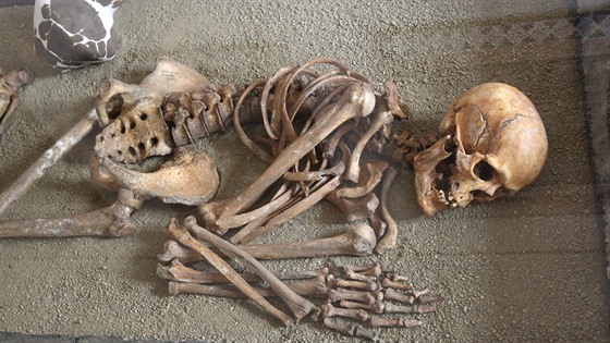 V prostějovské galerii Špalíček začala výstava o pohřbívání, na které jsou...