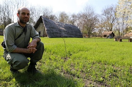 Michal Hejcman na políčku, kde se zelenají rostliny různých druhů pšenic.