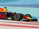 Tetí trénink na Velkou cenu Bahrajnu - v akci Daniel Ricciardo.