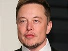 Elon Musk (2017)