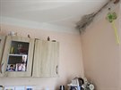 Stny a stropy byt v brnnsk ubytovn v ulici Markty Kuncov jsou asto...