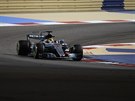Lewis Hamilton ve Velké cen Bahrajnu