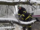 V Ostrav-Porub hasii odstraovali spadlý strom na silnici.