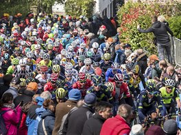 Cyklist ve stoupn na Mur de Huy bhem zvodu Valonsk p.