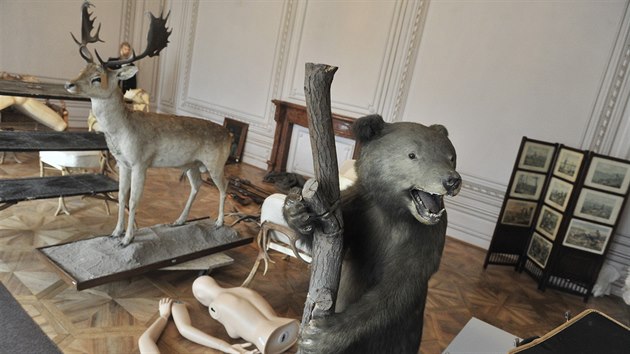 Bývaly časy, kdy se v českých zemích dalo ulovit i medvěda.
