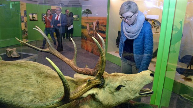 Nová interaktivní výstava olomouckého Vlastivědného muzea Milování v přírodě shrnuje taje rozmnožování zvířat.