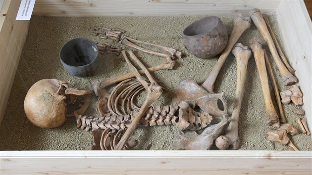 V prostějovské galerii Špalíček začala výstava o pohřbívání, na které jsou poprvé vystaveny nálezy z hanáckého Stonehenge. Na snímku hrob šestnáctileté dívky ze Slatinek z kultury s lineární keramikou.