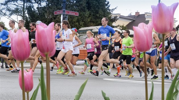 Momentka z Vinaskho plmaratonu v Pardubicch