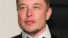 Elon Musk (2017)