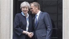 Pedseda Evropské rady Donald Tusk s britskou premiérkou Theresou Mayovou pi...