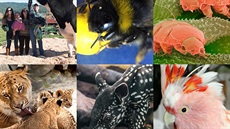 Zví�ecí kvíz