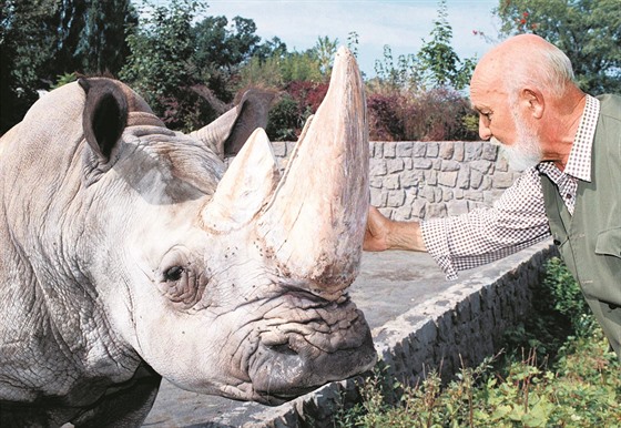Chov nosorožců v královédvorské zoo zahájil zakladatel tamního safari Josef...