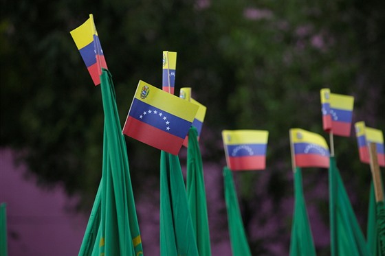 Venezuelské vlajky