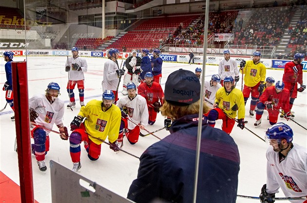 eská hokejová reprezentace v úterý trénovala v budjovické Budvar arén....