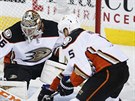 John Gibson v brance Anaheimu se sousted na anci Freddieho Hamiltona z...