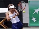 Amerianka Lauren Davisová v semifinále Fed Cupu.