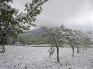 výcarský kanton Nidwalden zasypal erstvý sníh (19. dubna 2017).