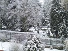 Také ve Svitavách ráno padal sníh (28.dubna 2017)