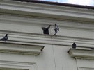 Hasii ve Vsetín pomohli holubovi, který se zachytil do drátu pod stechou...