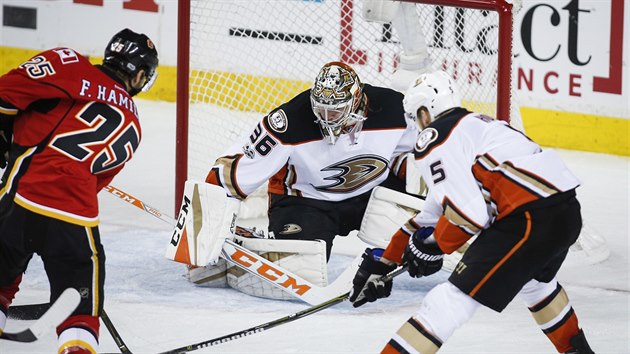 John Gibson v brance Anaheimu se sousted na anci Freddieho Hamiltona z Calgary, kterho brn Korbinian Holzer.