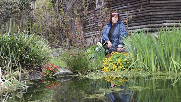 Nejvíc času tráví Anna Jarošová na své zahradě, hlavně na jaře tam každý den odpracuje několik hodin. U okrasného jezírka se však nemůže kochat rybami, pochutnaly si na nich vydry.
