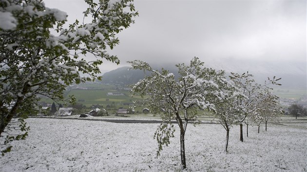 vcarsk kanton Nidwalden zasypal erstv snh (19. dubna 2017).