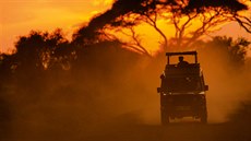 Keňa - safari