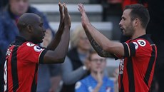 Úto�ník Bournemouthu Benik Afobe (vlevo) oslavuje se spoluhrá�em Stevem Cookem...