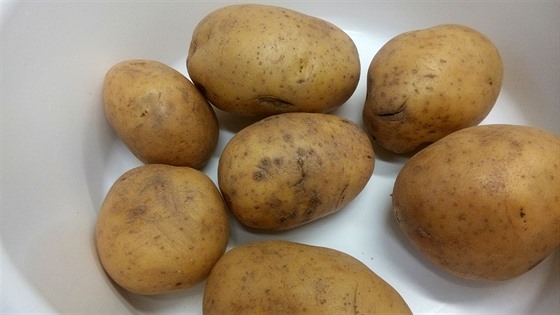 Glykoalkaloidy z brambor by se mohly stát pomocníky v boji proti rakovin.