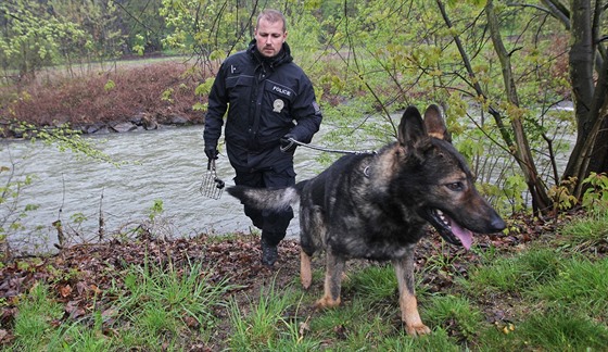 Policejní psovodi se psy prohledávali břeh řeky Odry poblíž Jakubčovic nad...